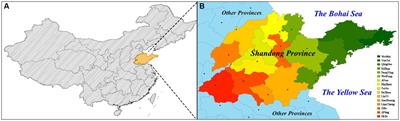 China’s air quality improvement strategy may already be having a positive effect: evidence based on health risk assessment